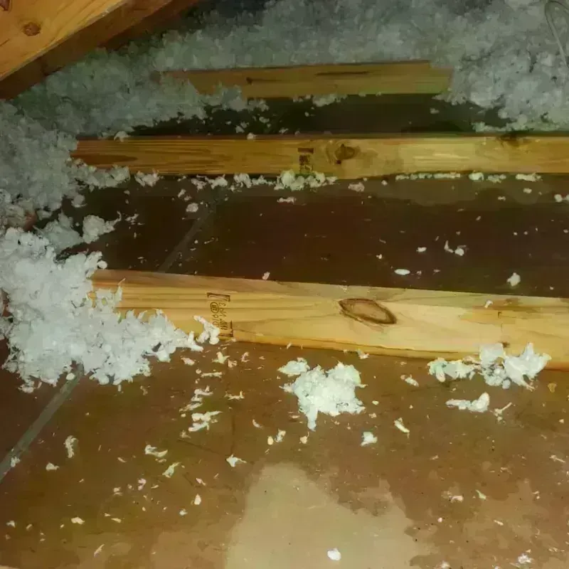 Attic Water Damage in Meiners Oaks, CA